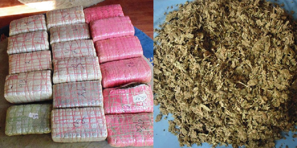 बर्दियामा लागुऔषधको कसुरमा ४७५ जनालाई कैद सजाय